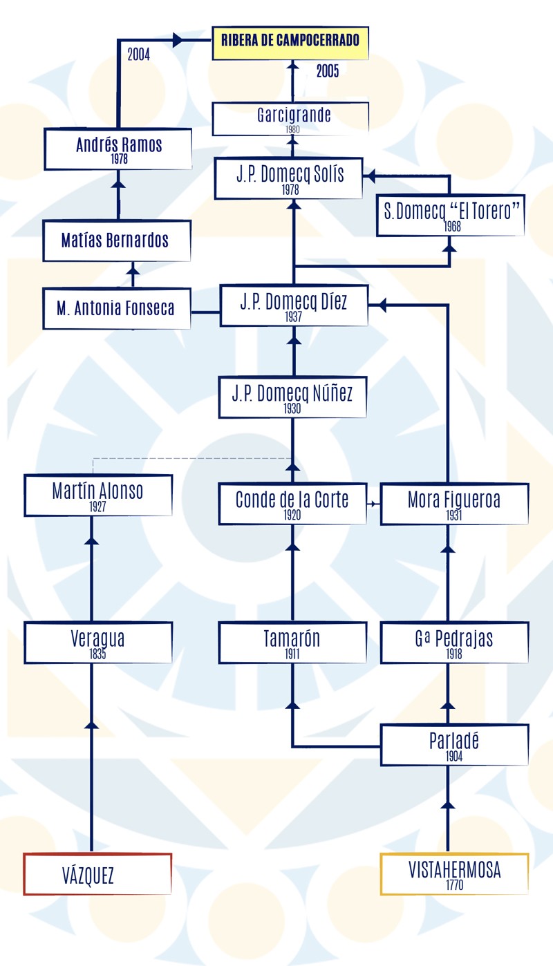 La Ribera de Campocerrado - Ganaderia Brava