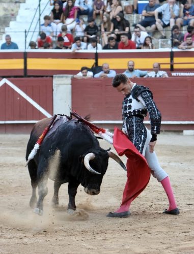 La Ribera de Campocerrado - Ganaderia Brava