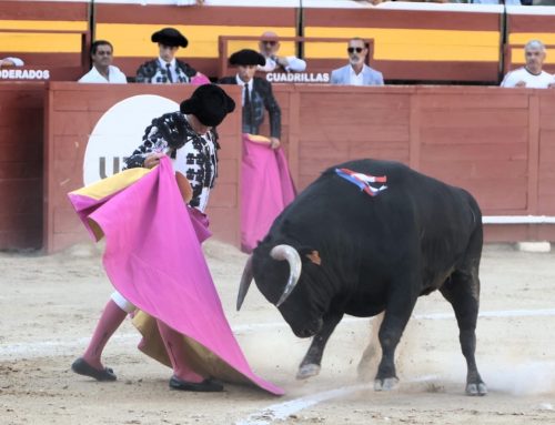 La Ribera de Campocerrado - Ganaderia Brava